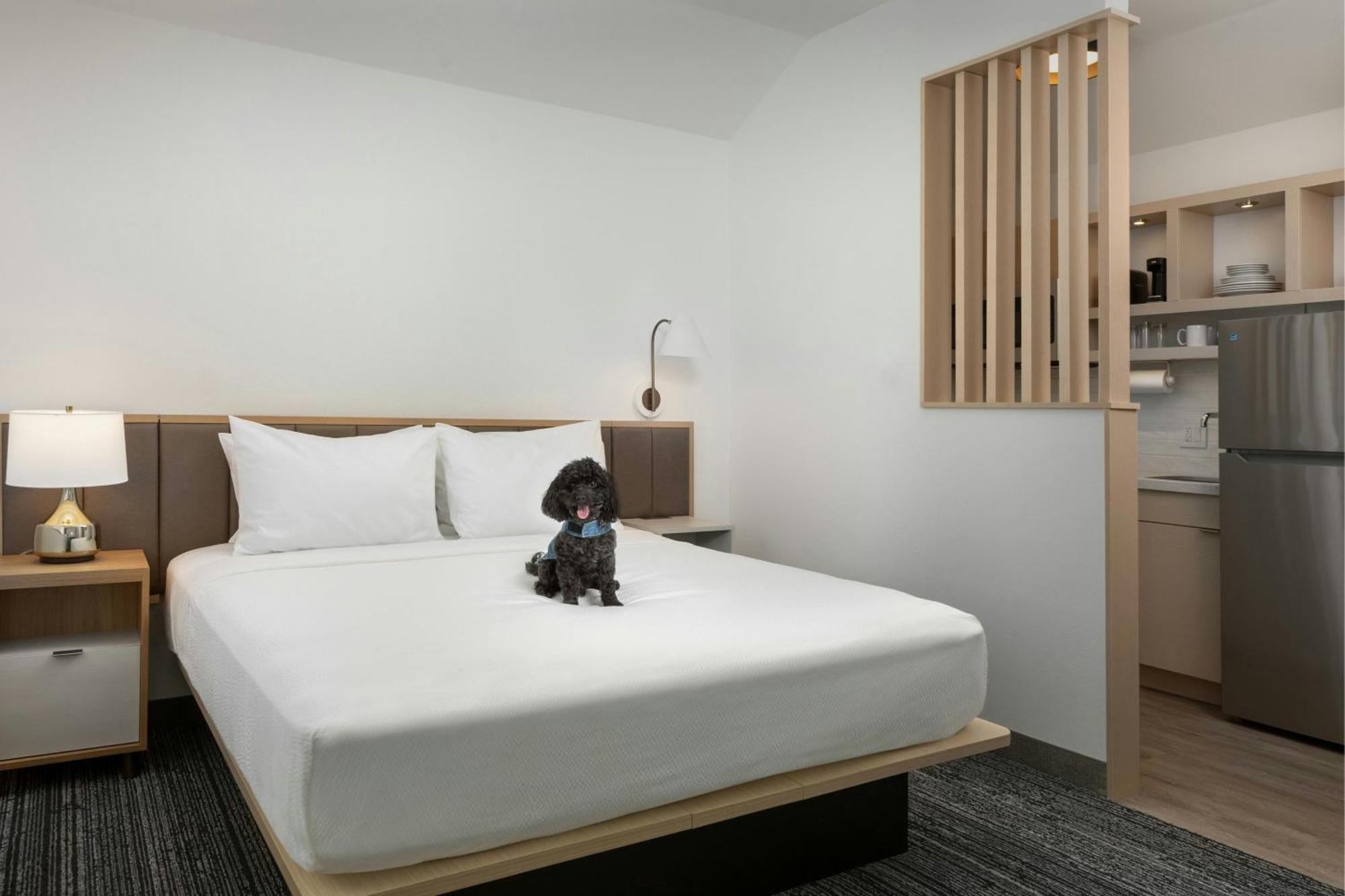 Towneplace Suites By Marriott Annapolis Luaran gambar